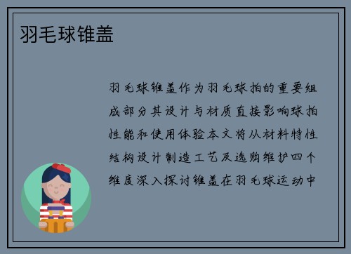 羽毛球锥盖